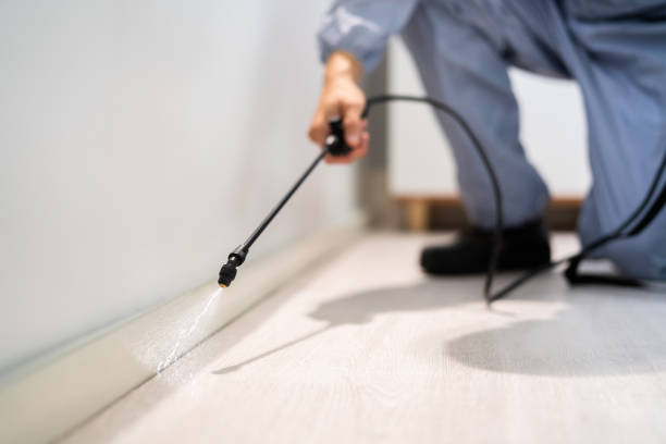 Bed Bug Pre-Treatment Preparation Assessment in St. Johns