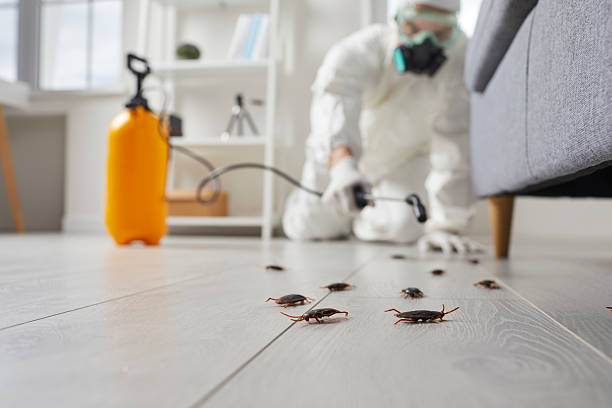 Post-Treatment Bed Bug Interceptor Monitoring in St. Johns