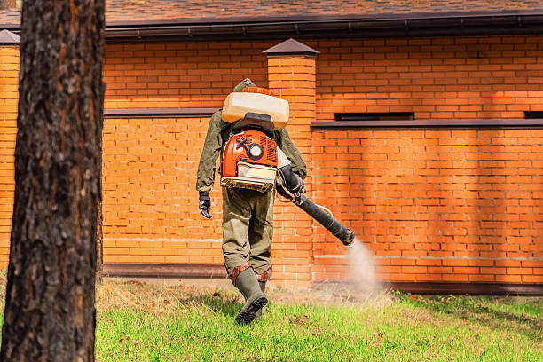 Bed Bug Clearance Verification and Documentation in St. Johns